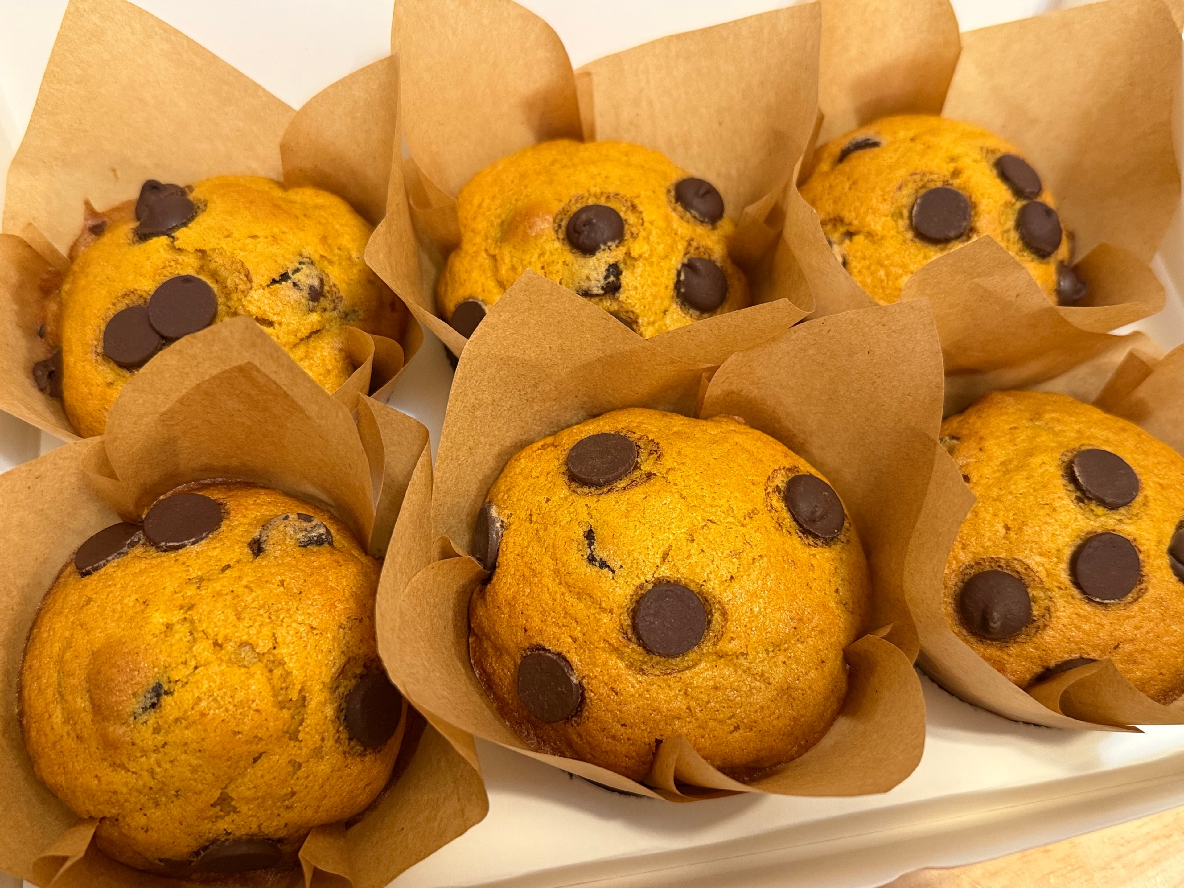 Gluten Free Dairy Free Chocolate Chip Pumpkin Muffins